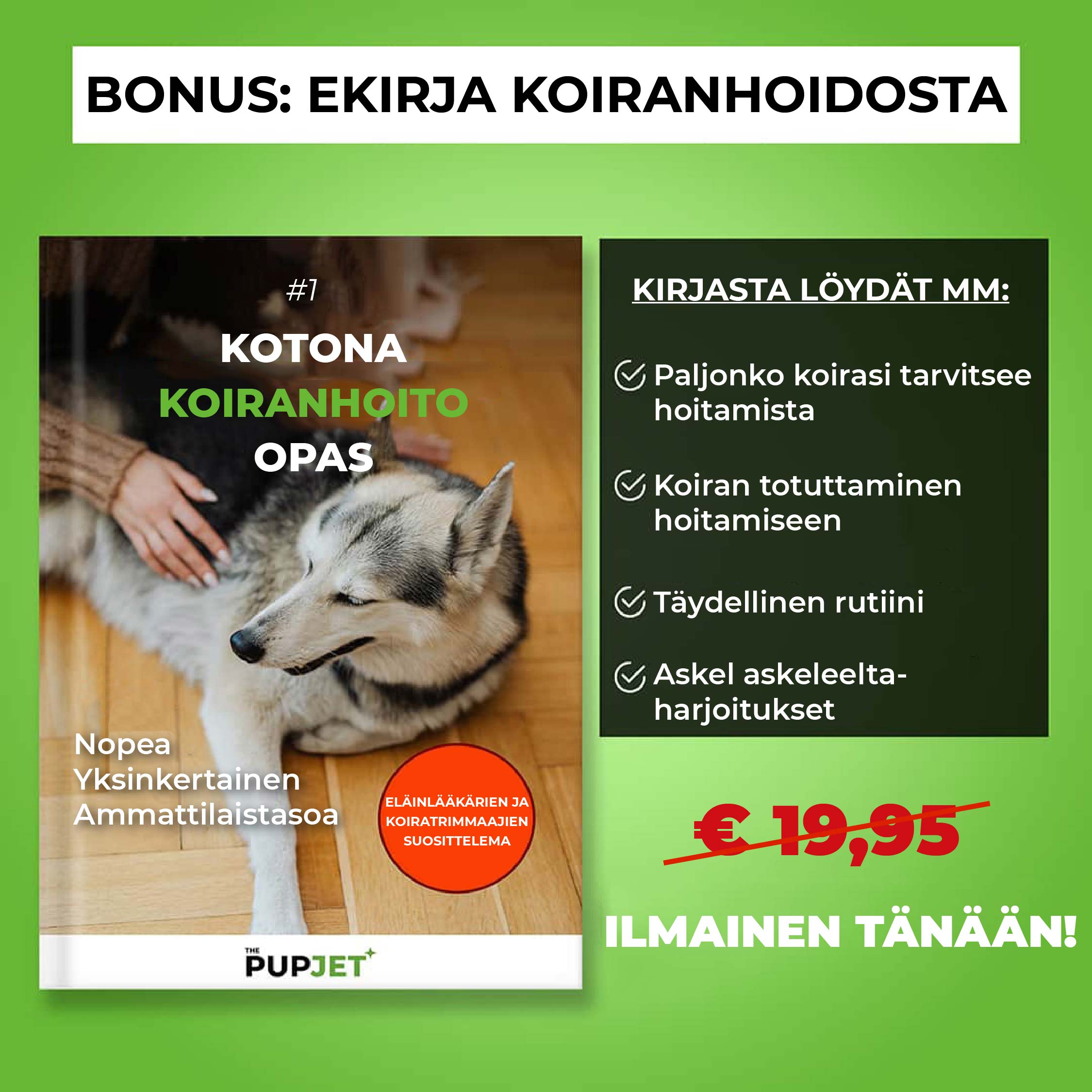 PUPJET© | Koiran pesijä & shampoon levittäjä